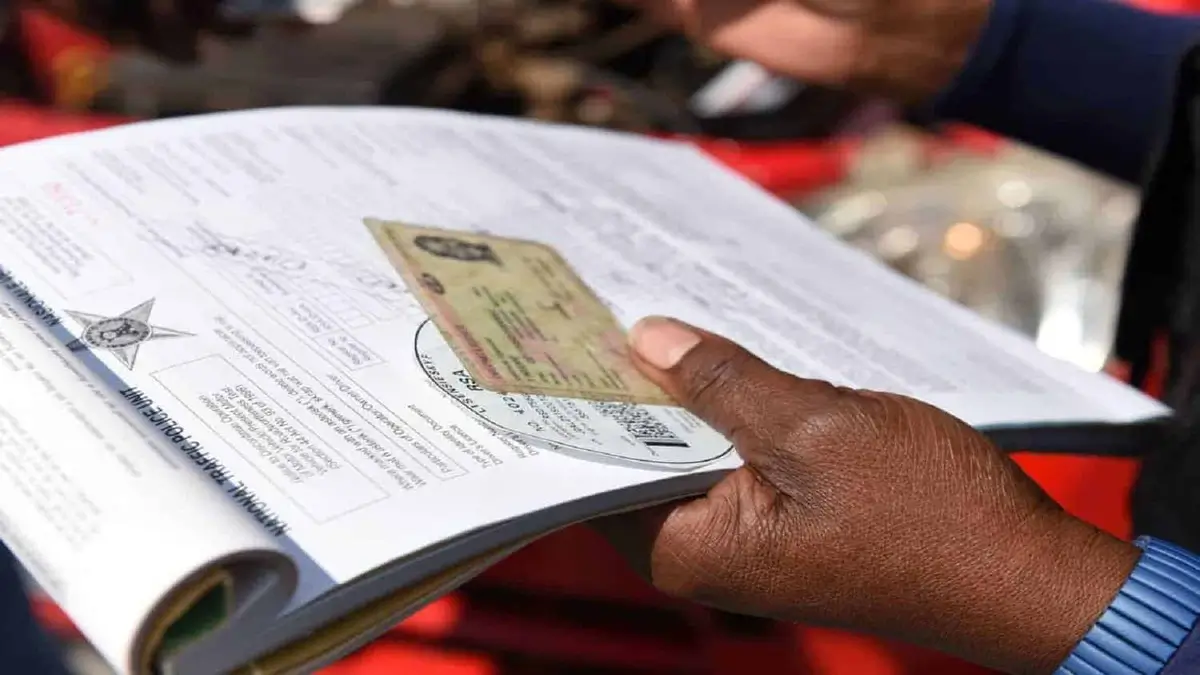 SA Ignores Proven Solution to Driver’s Licence Backlog as Delays Stretch Up to 6 Month